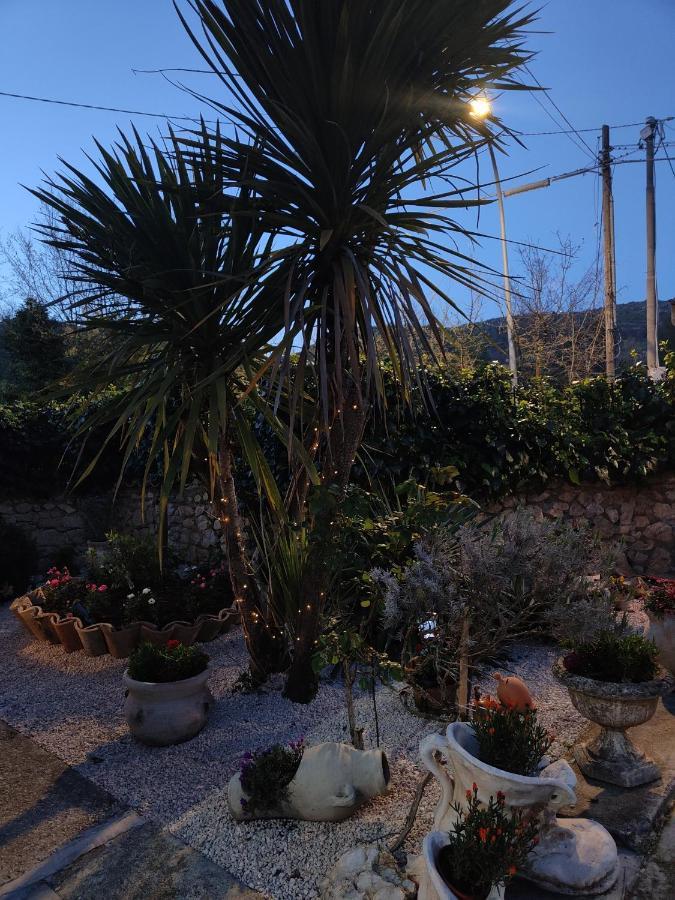 Bed and Breakfast Casale Dei Ricordi Arce Екстер'єр фото