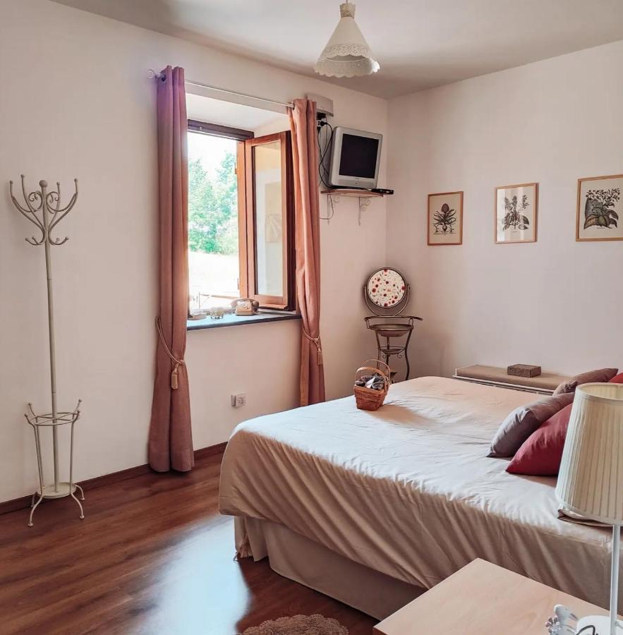 Bed and Breakfast Casale Dei Ricordi Arce Екстер'єр фото