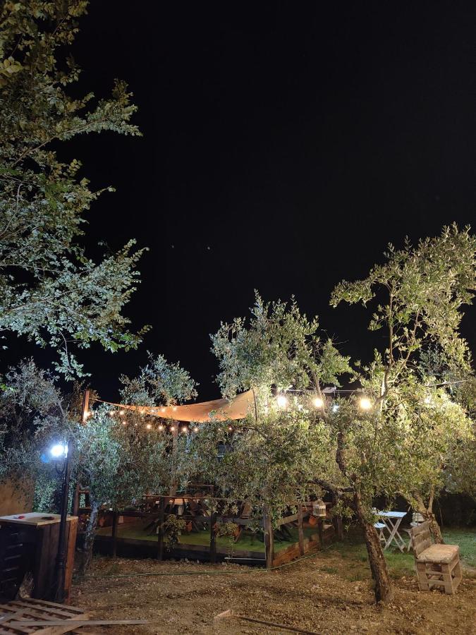 Bed and Breakfast Casale Dei Ricordi Arce Екстер'єр фото