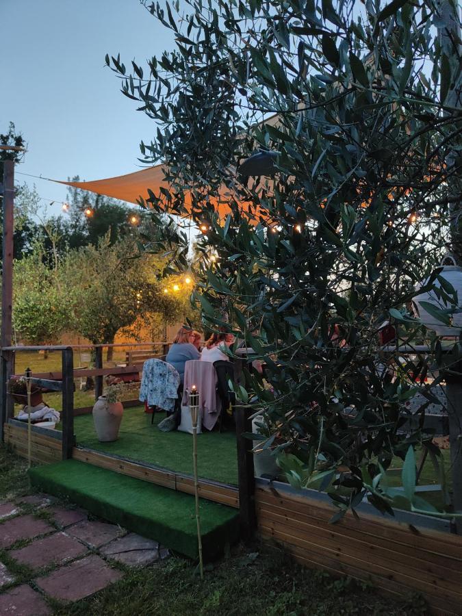Bed and Breakfast Casale Dei Ricordi Arce Екстер'єр фото